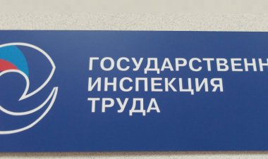 Нарушения в ООО ЧОО выявленные  трудовой инспекцией
