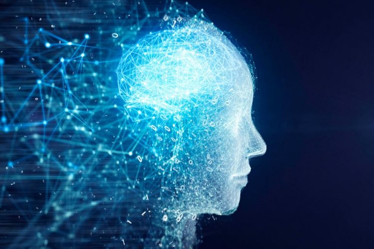 До 50 млн рублей выделят на проекты по внедрению технологий ИИ