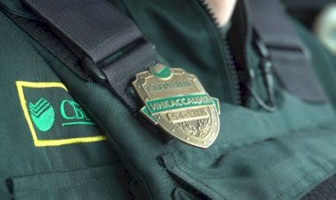 Семь любопытных фактов о службе инкассации