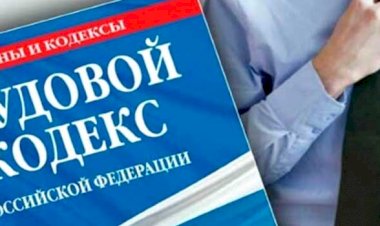 Еженедельный мониторинг за ситуацией на рынке труда