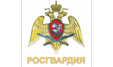 Приказ № 395 Федеральной службы войск национальной гвардии Российской Федерации от 30.11.2019 по контролю за ЧОП