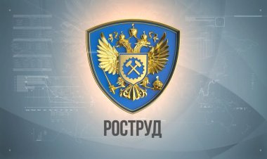 Трудовая (кадровая) проверка организации