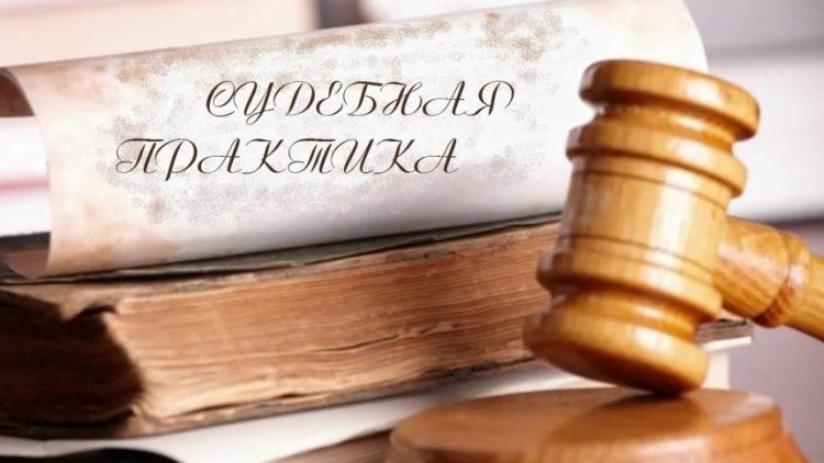 Аннулирование лицензии на осуществление частной охранной деятельности. Судебная практика.