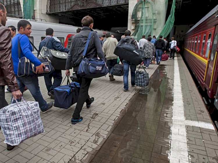 У россиян появится больше возможностей трудоустроиться в некоторых отраслях экономики